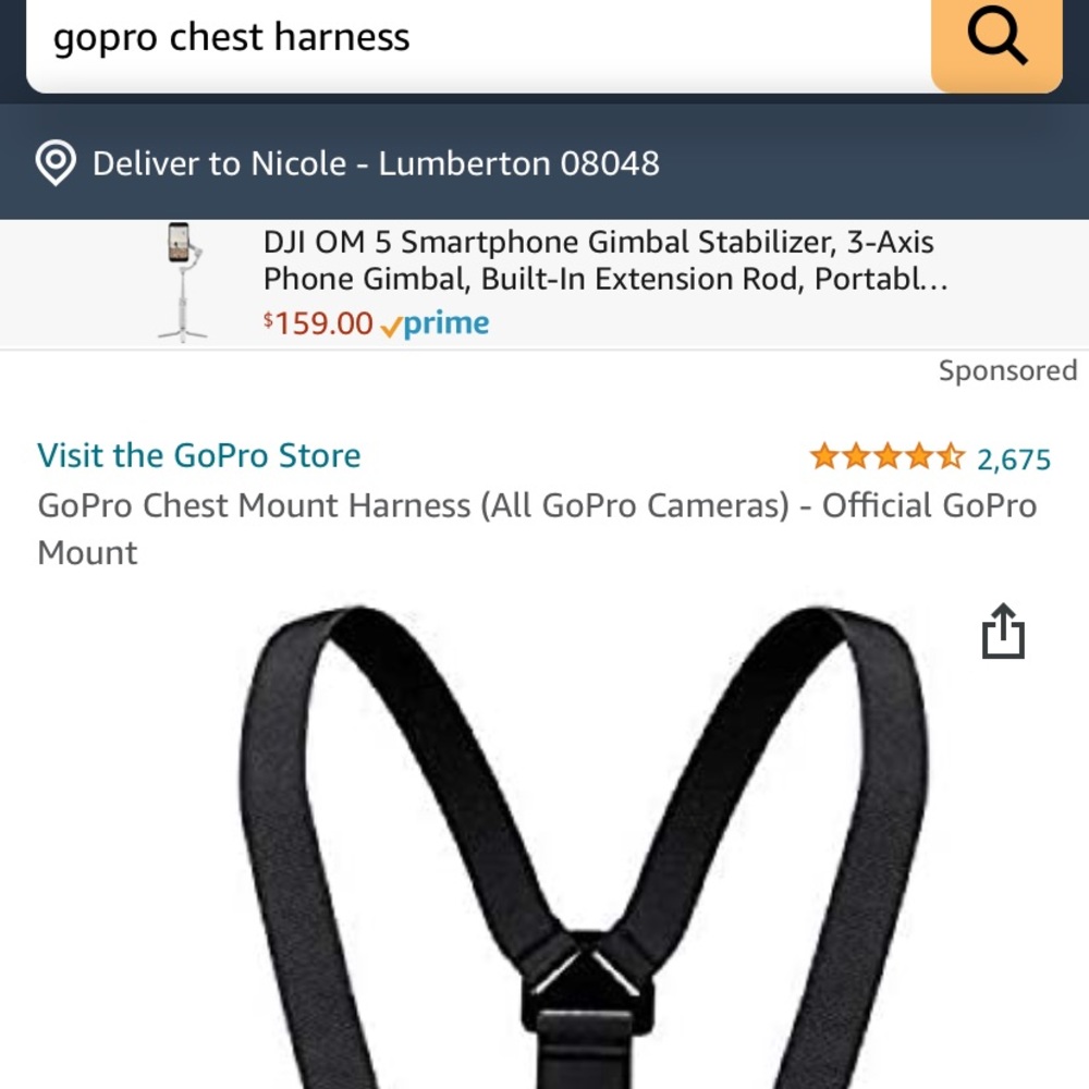 GoPro "Chesty" Chest Harness
